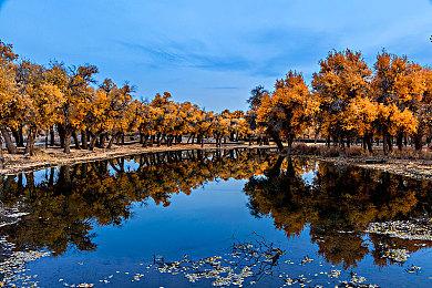 新《零：濡鸦之巫女》删除WiiU原版四件性感服装